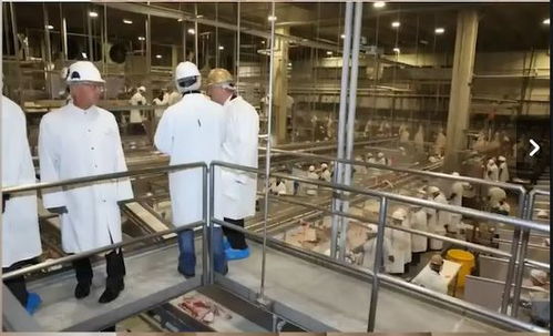 美劳工部发现100多名童工在肉类加工厂工作,对我们有何警示